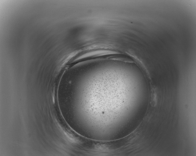 X0000077370062200610271931