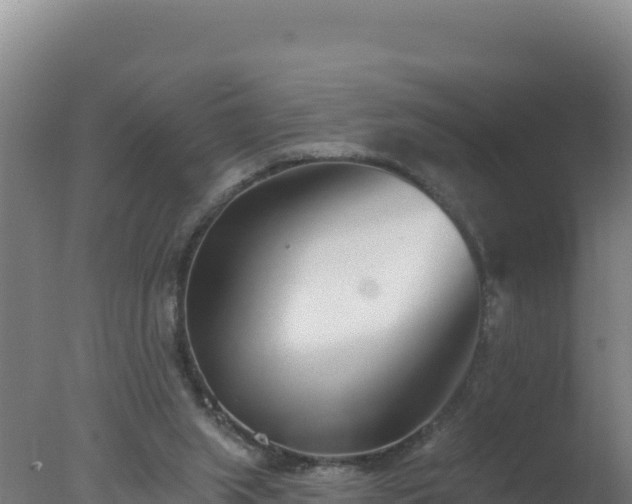 X0000077370063200610271931