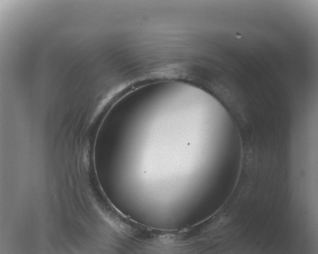 X0000077370064200610271931