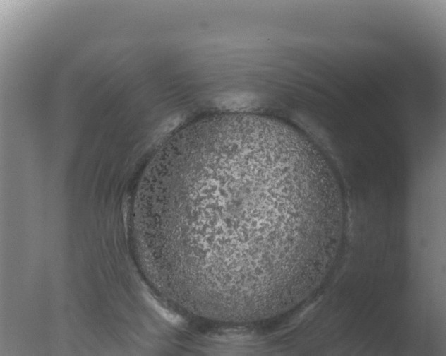 X0000077370065200610271931