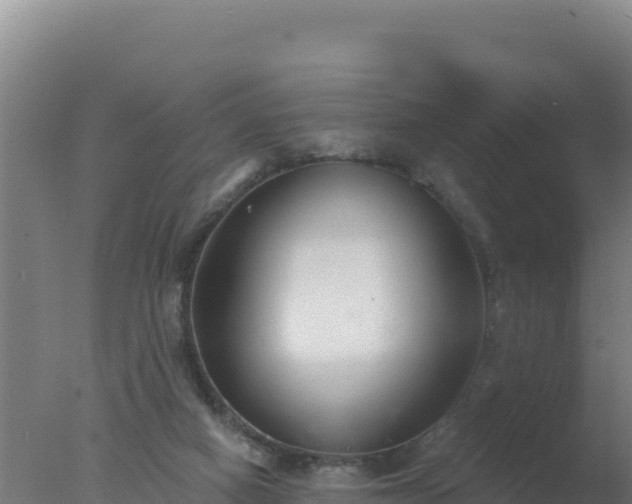 X0000077370066200610271931