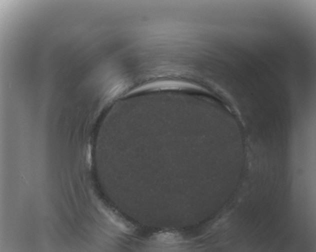 X0000077370067200610271931