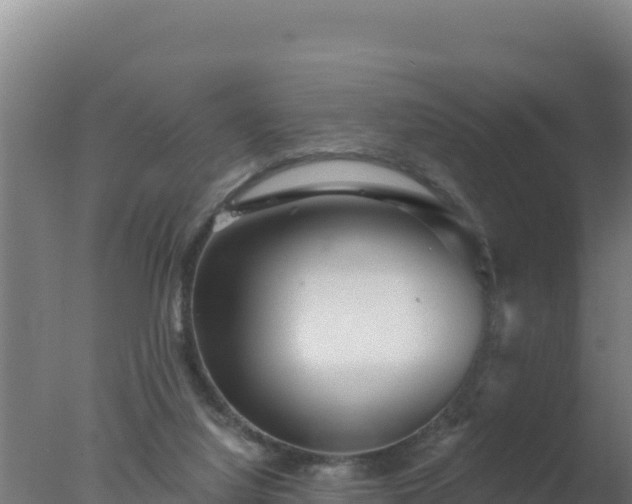 X0000077370068200610271931