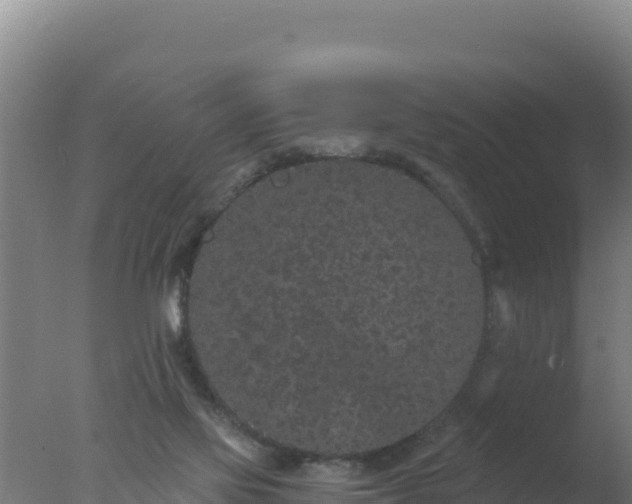 X0000077370069200610271931