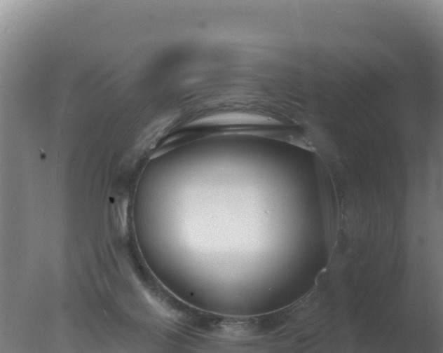 X0000077370070200610271931