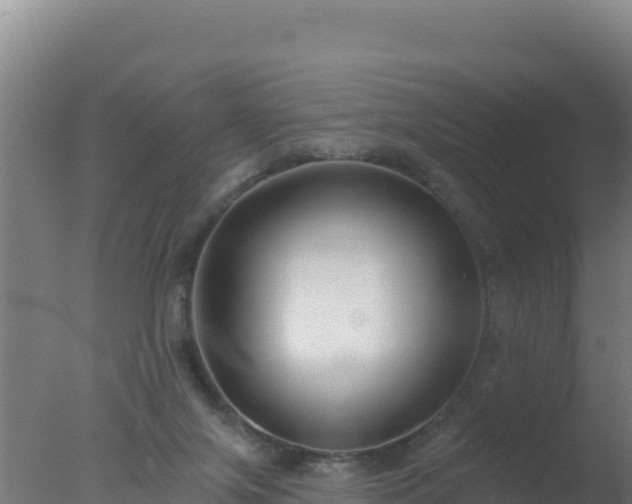 X0000077370071200610271931