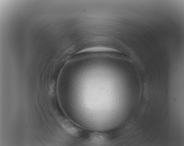 X0000077370073200610271931