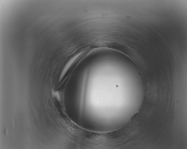 X0000077370075200610271931