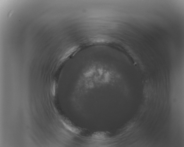 X0000077370076200610271931