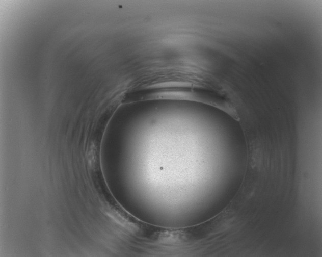 X0000077370077200610271931