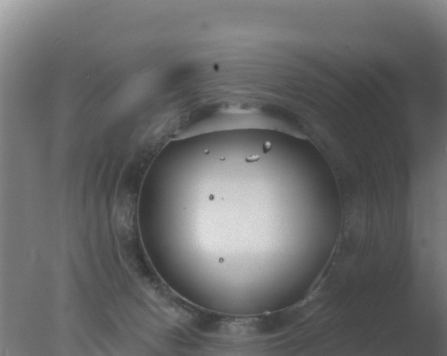 X0000077370078200610271931