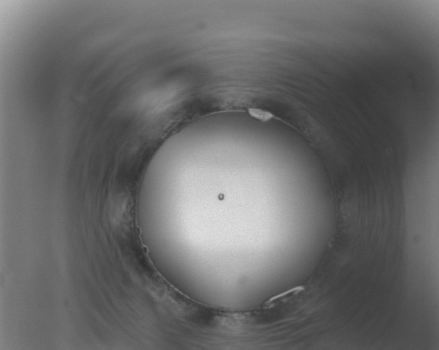 X0000077370079200610271931