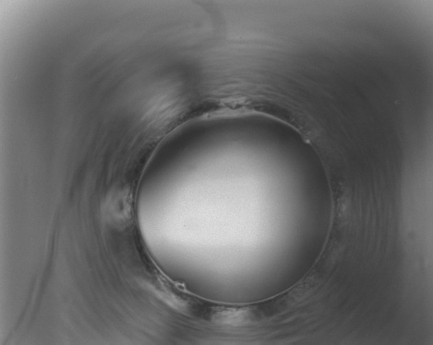 X0000077370081200610271931