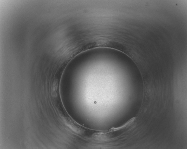 X0000077370082200610271931