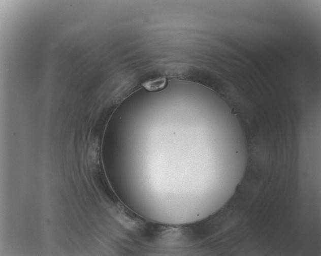 X0000077370083200610271931