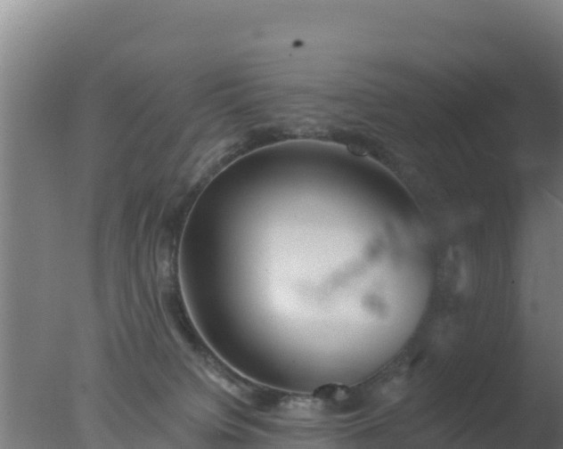 X0000077370084200610271931