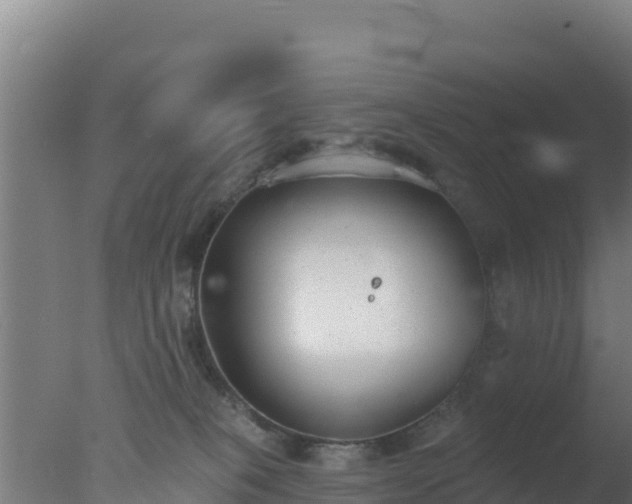 X0000077370085200610271931