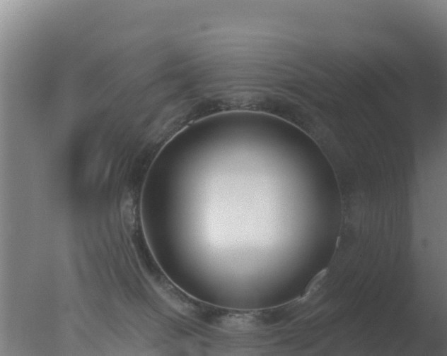 X0000077370086200610271931