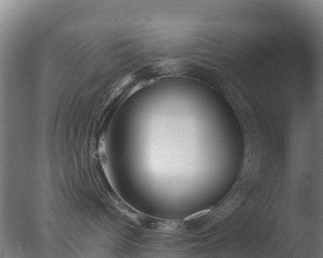 X0000077370096200610271931