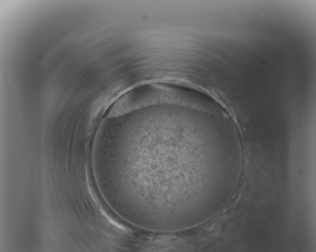 X0000077370097200610271930