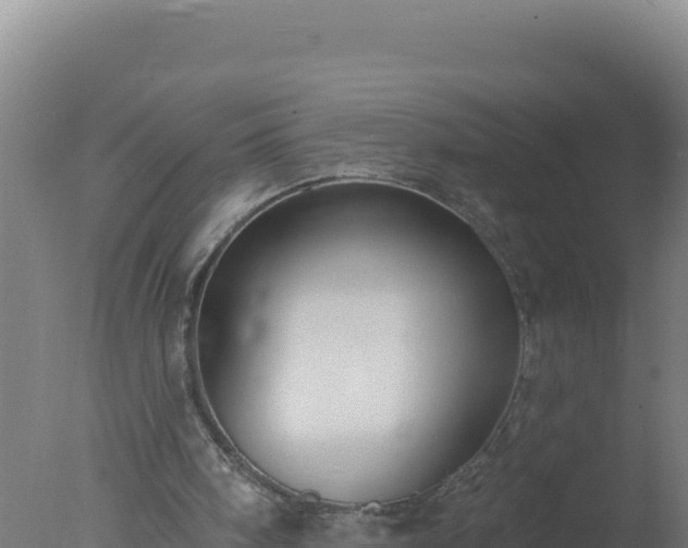 X0000077370098200610271930