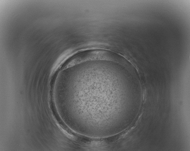 X0000077370101200610271930