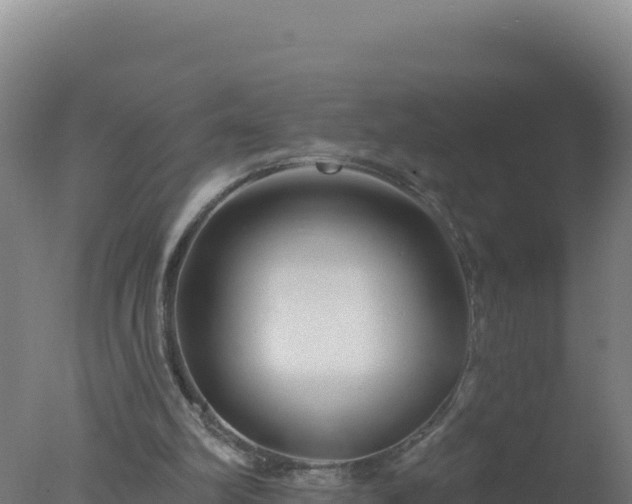 X0000077370102200610271930