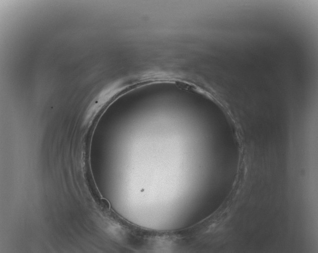 X0000077370103200610271930