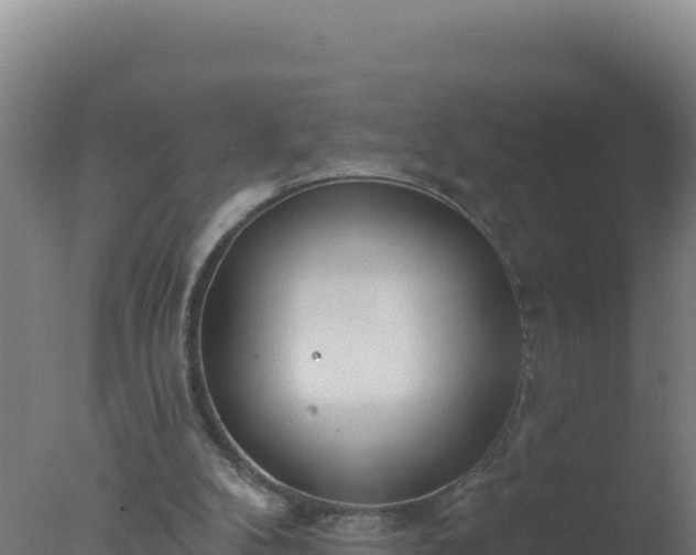 X0000077370104200610271930