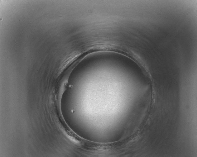 X0000077370105200610271930