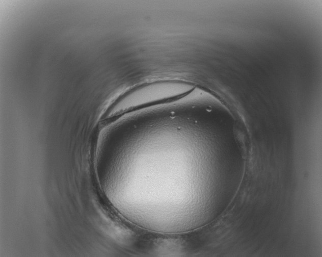 X0000077370107200610271930