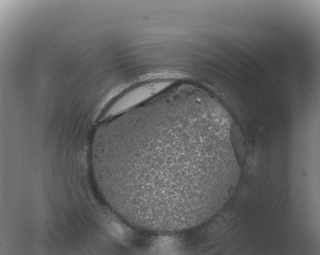 X0000077370111200610271930