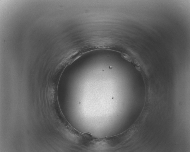 X0000077370113200610271930