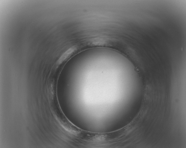 X0000077370116200610271930