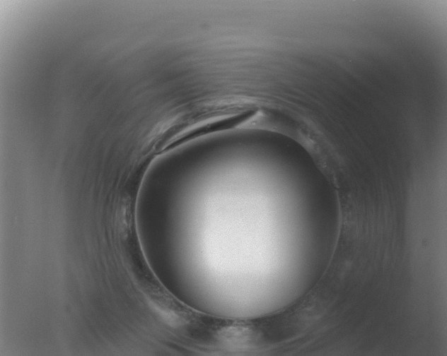 X0000077370119200610271930