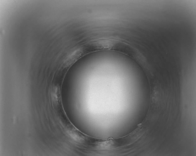 X0000077370122200610271930