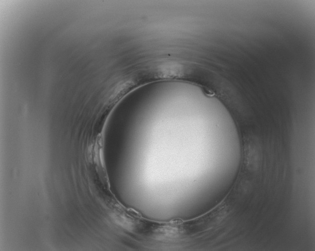 X0000077370123200610271930