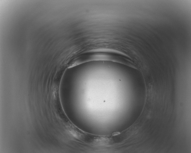 X0000077370125200610271930