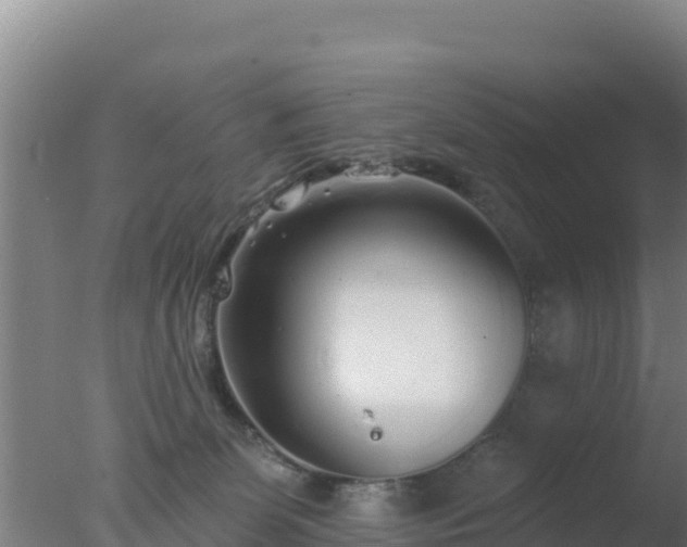 X0000077370131200610271930