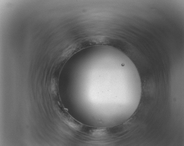 X0000077370132200610271930