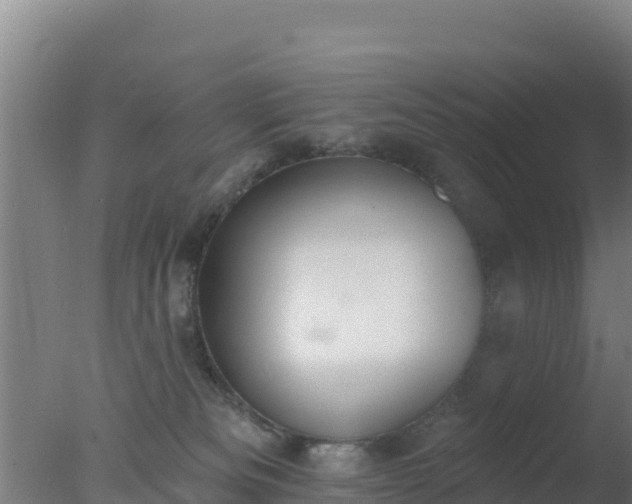 X0000077370133200610271930