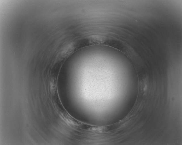 X0000077370134200610271930