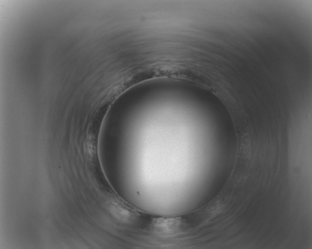 X0000077370135200610271930