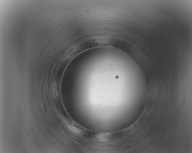 X0000077370136200610271930