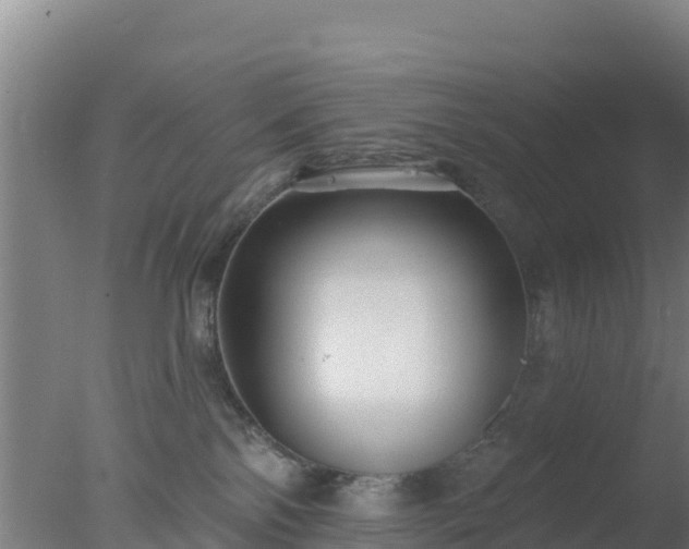 X0000077370138200610271930