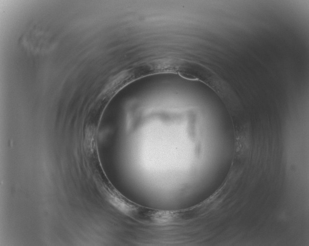 X0000077370142200610271930