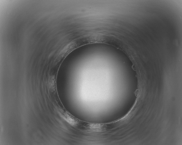 X0000077370144200610271930