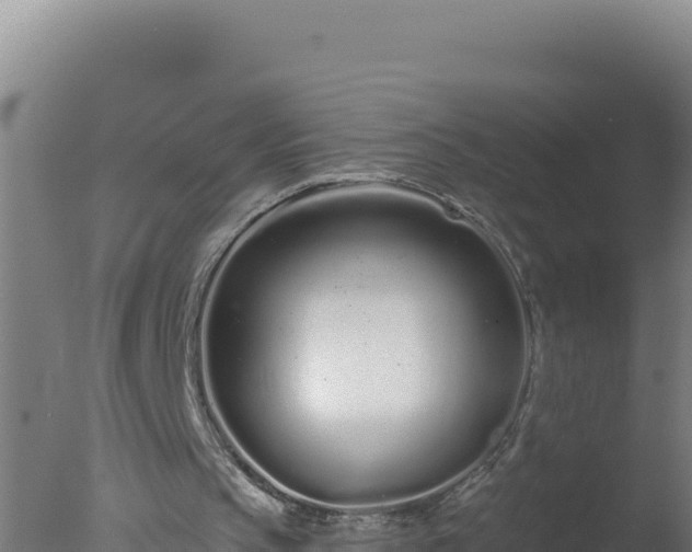 X0000077370145200610271929