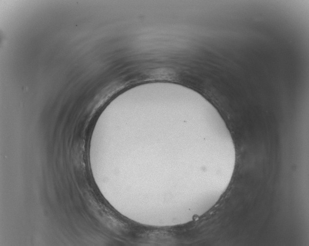 X0000077370146200610271929