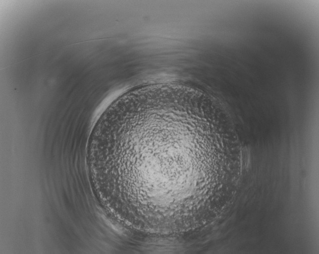 X0000077370147200610271929